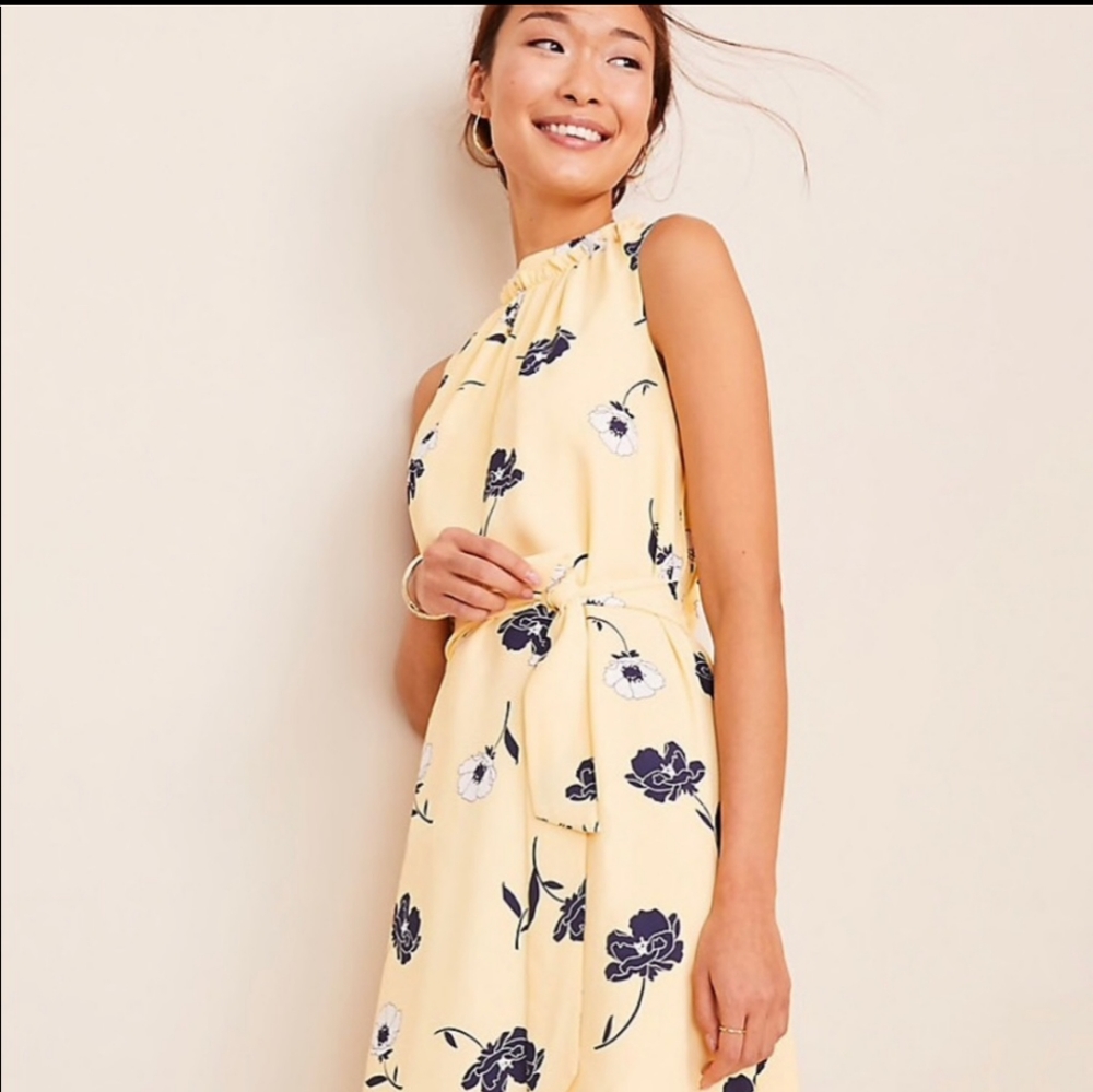 Ann Taylor petite sunny poppy tie waist flare dress